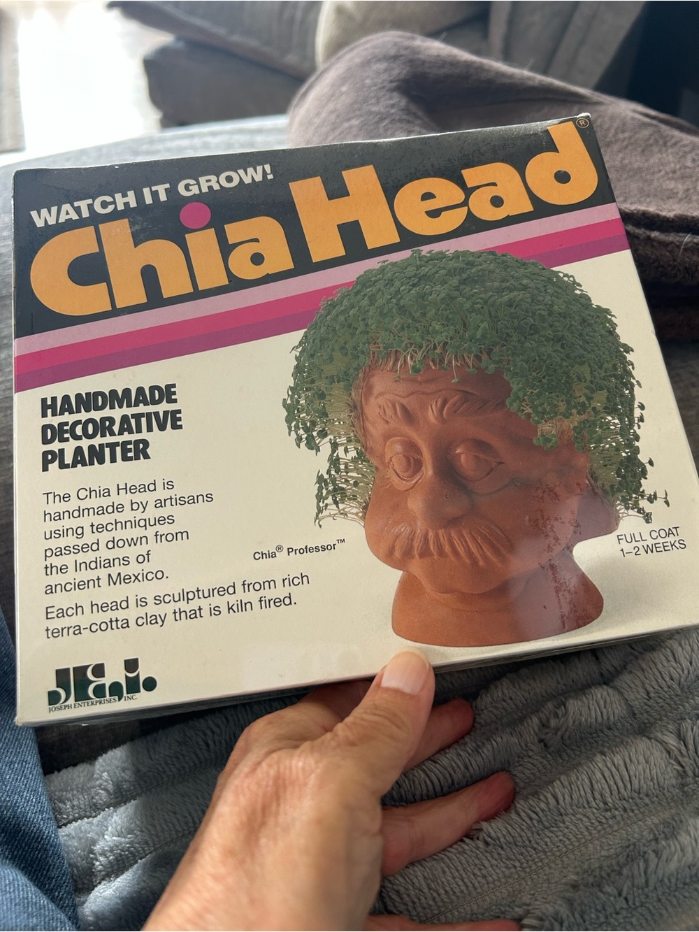 Professor Chia Head Handmade Decorative Planter - Terra Cotta with Green Chia